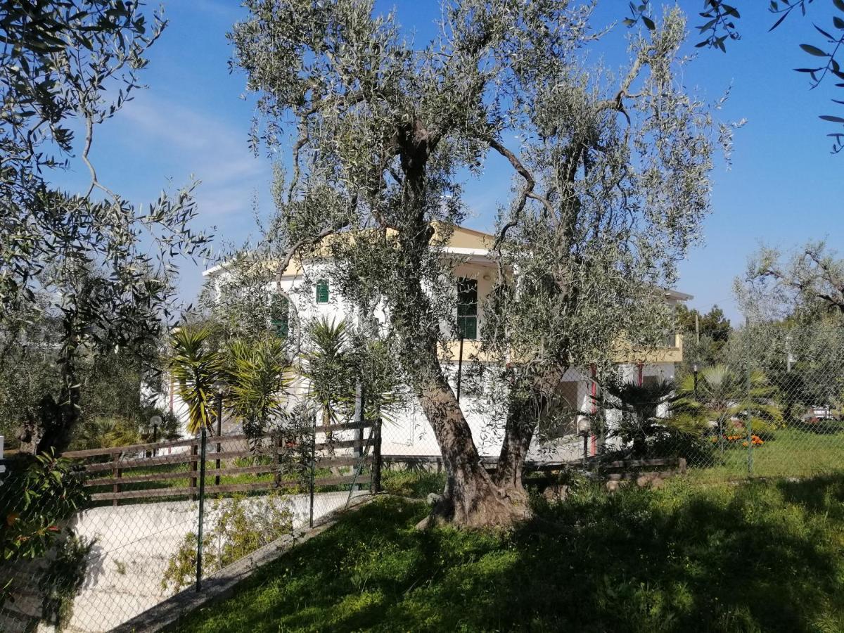 Villa Elisa Вьесте Экстерьер фото