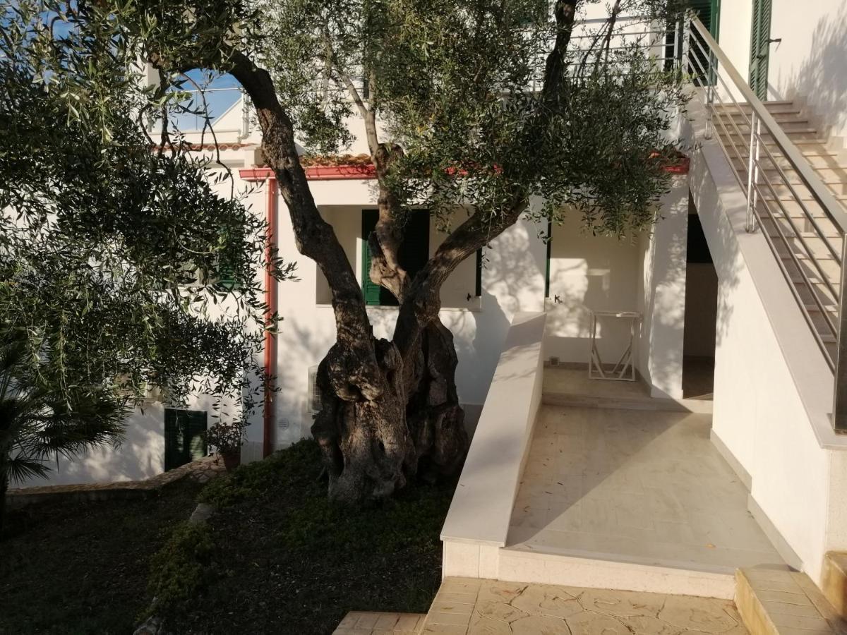 Villa Elisa Вьесте Экстерьер фото